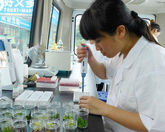 當(dāng)您不知怎樣挑選的時(shí)刻，過(guò)來(lái)知曉一下：普洱英國(guó)UKCA認(rèn)證機(jī)構(gòu)