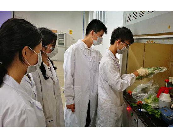 萬萬未猜到！臺灣電池CE認證公司還能存在這么1種形式!